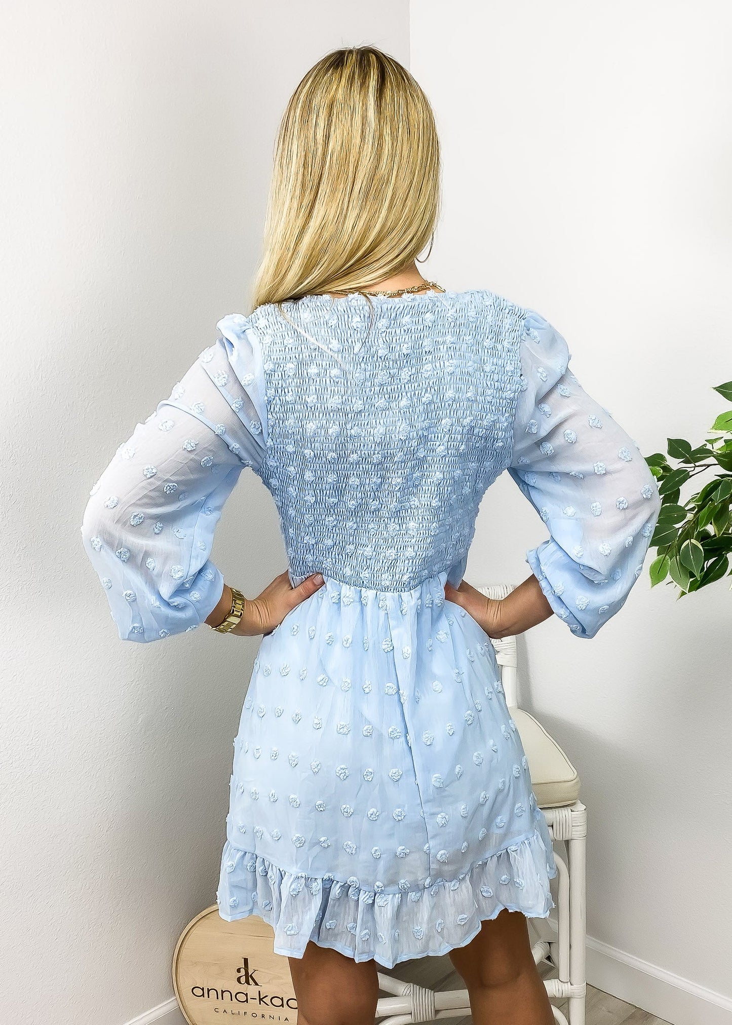 V Neck Shirred Swiss Dot Dress