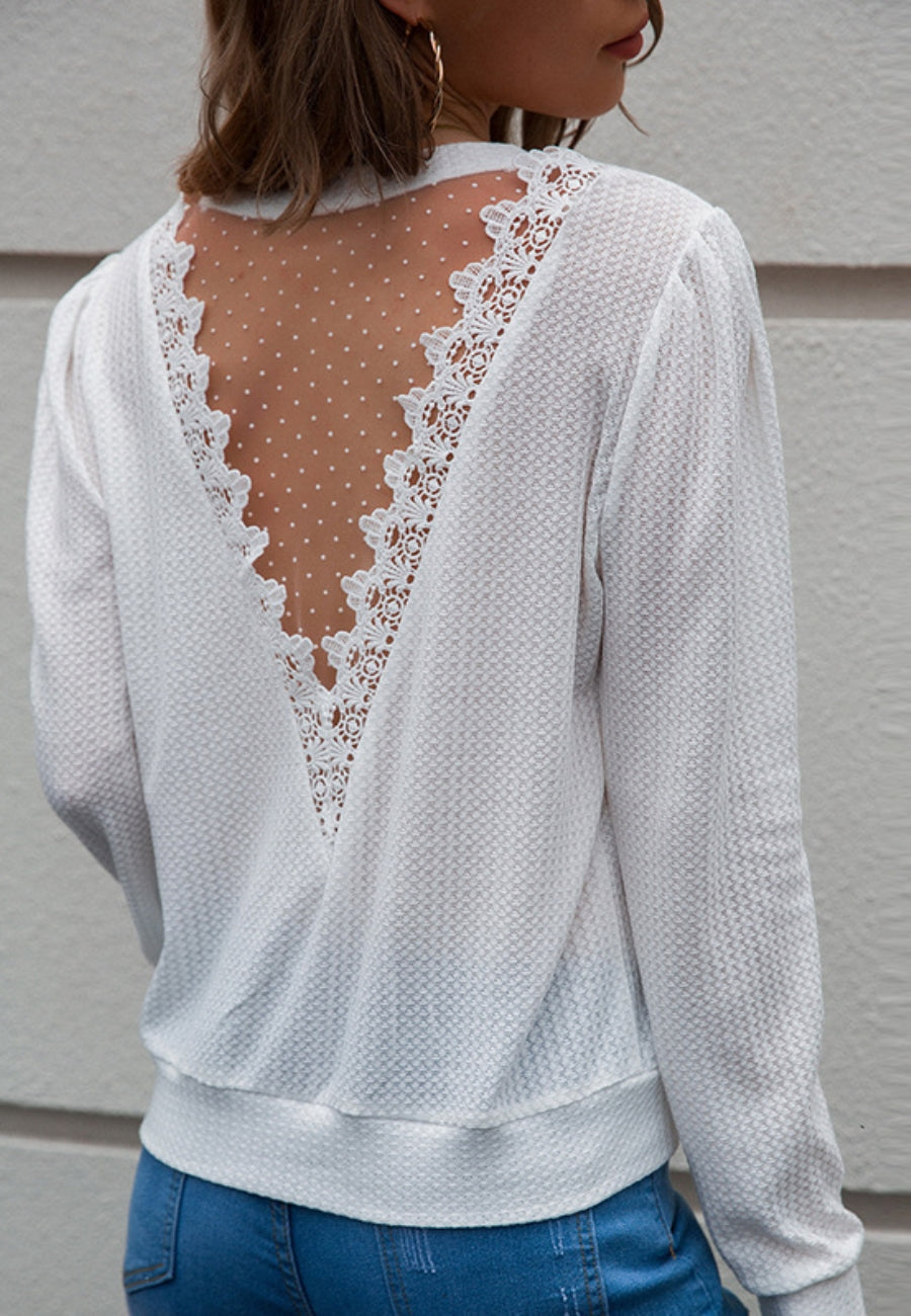 Sheer Lace Back Sweater