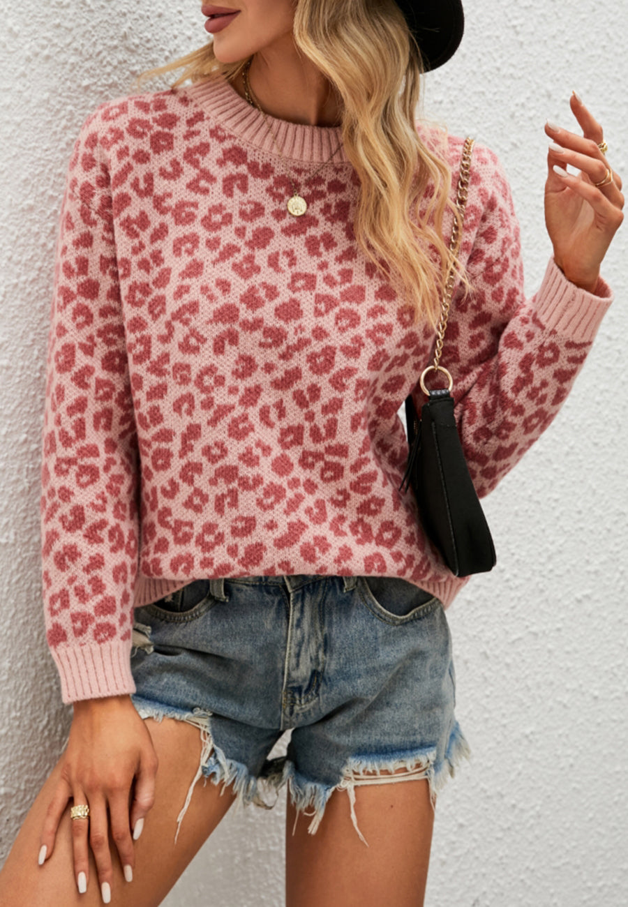 Leopard Print Basic Knit Sweater