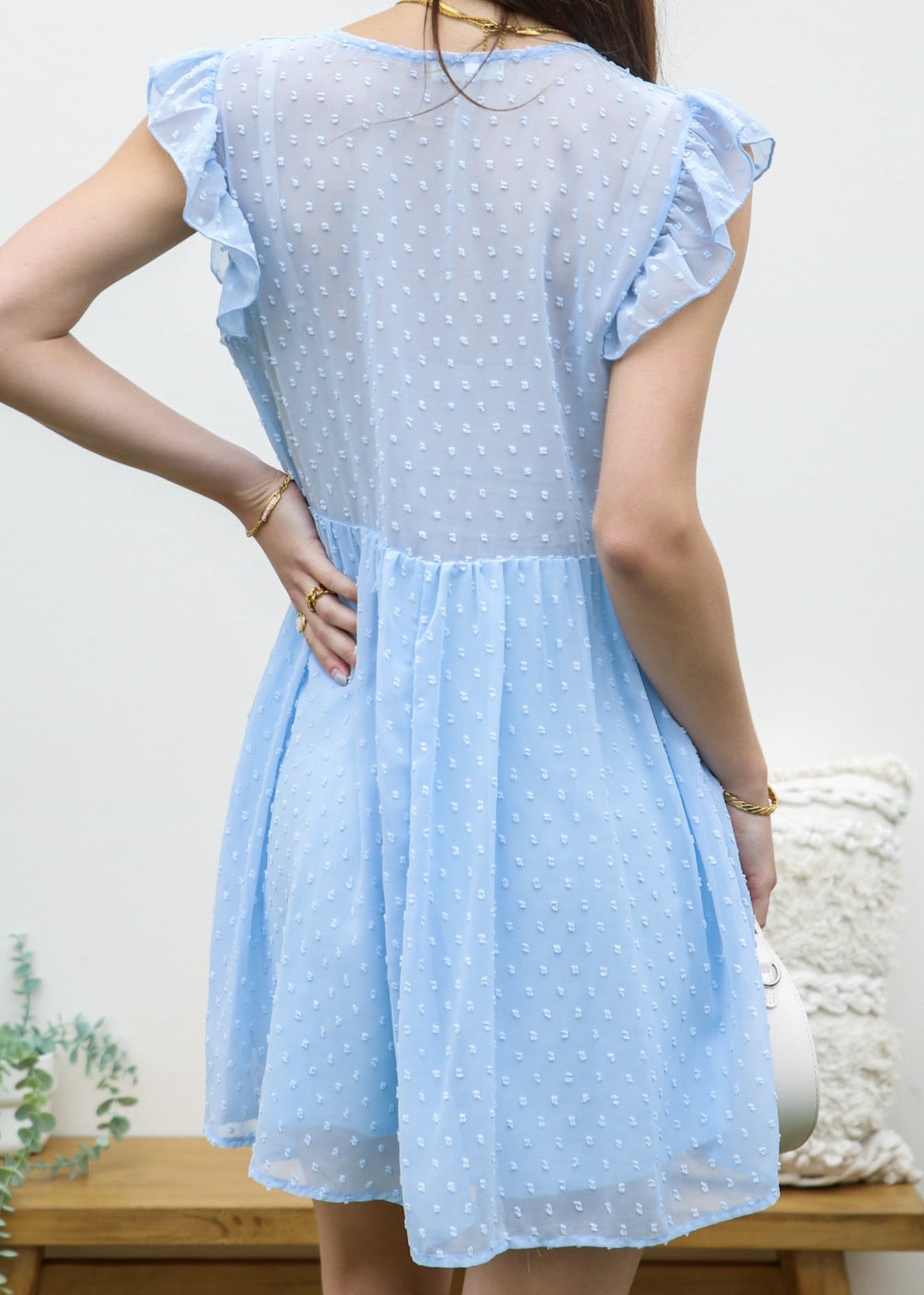 Swiss Dot Sheer Back Dress