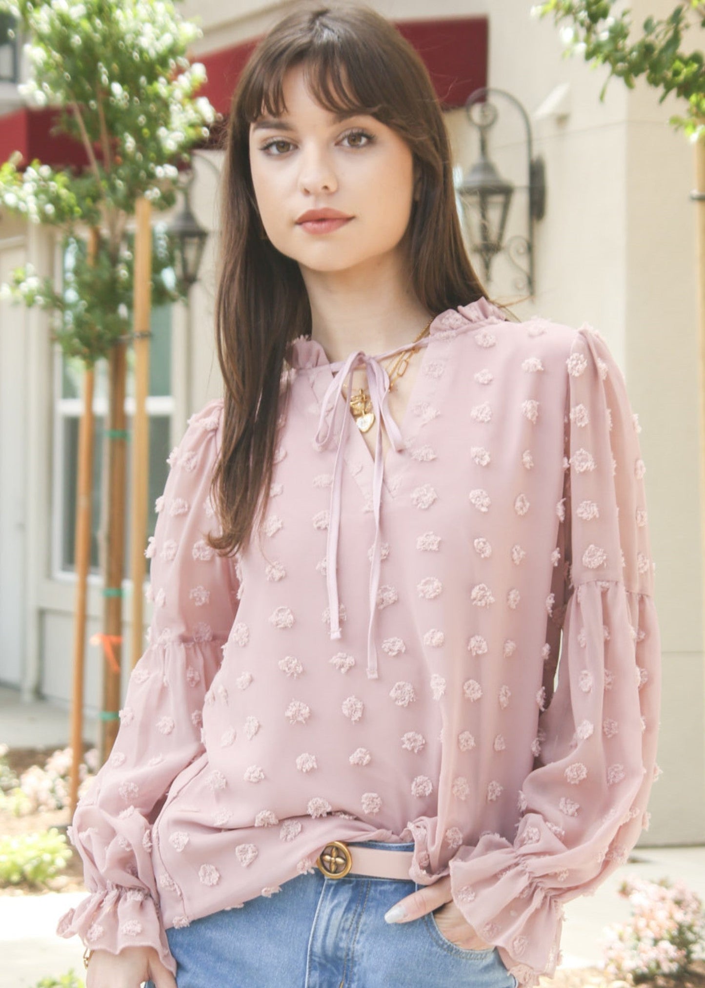 Tie V Neck Balloon Sleeve Blouse