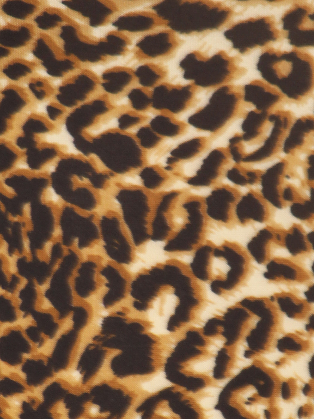 Leopard Print Long-Sleeve T-Shirt