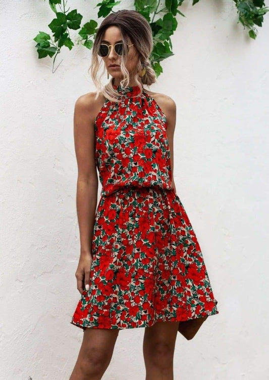 Anna-Kaci Floral Halter Dress Tie Back Cinched Waist Flare Flounce for Women