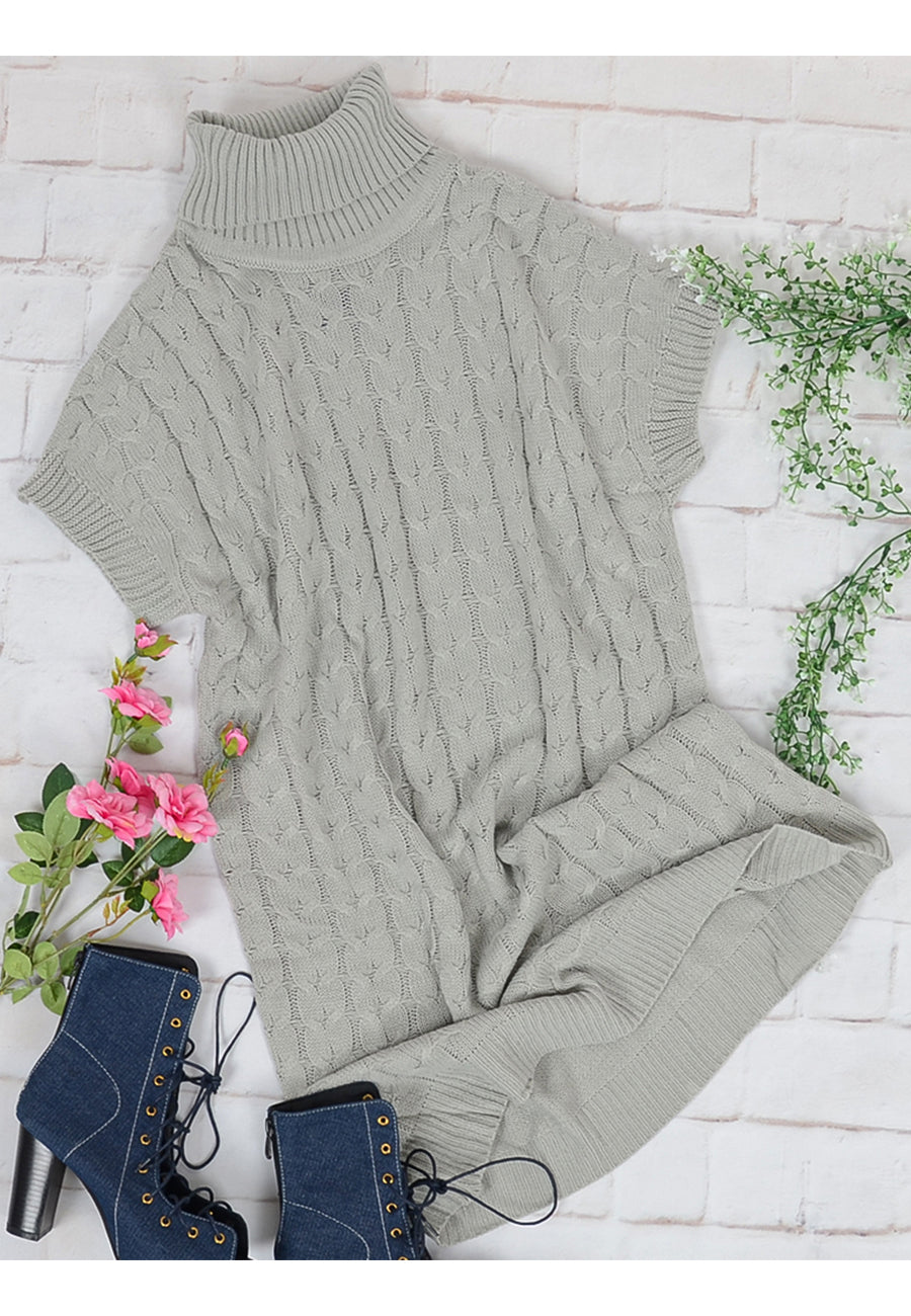 Turtleneck Short Sleeve Sweater Dress