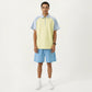 Men's Short Sleeve Athletic Polo Shirt with Zip Collar Colorblock Panel Design and Relaxed Fit Style