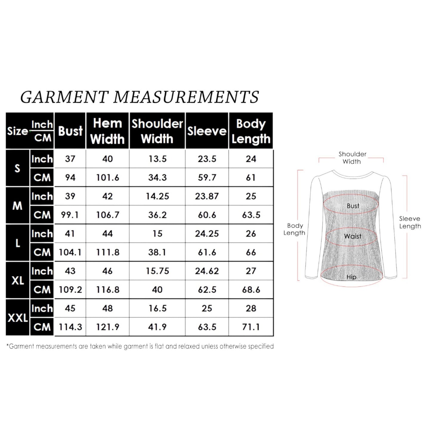 Sheer Mesh Long Sleeve Top with Sequin Front Panel and Crew Neckline