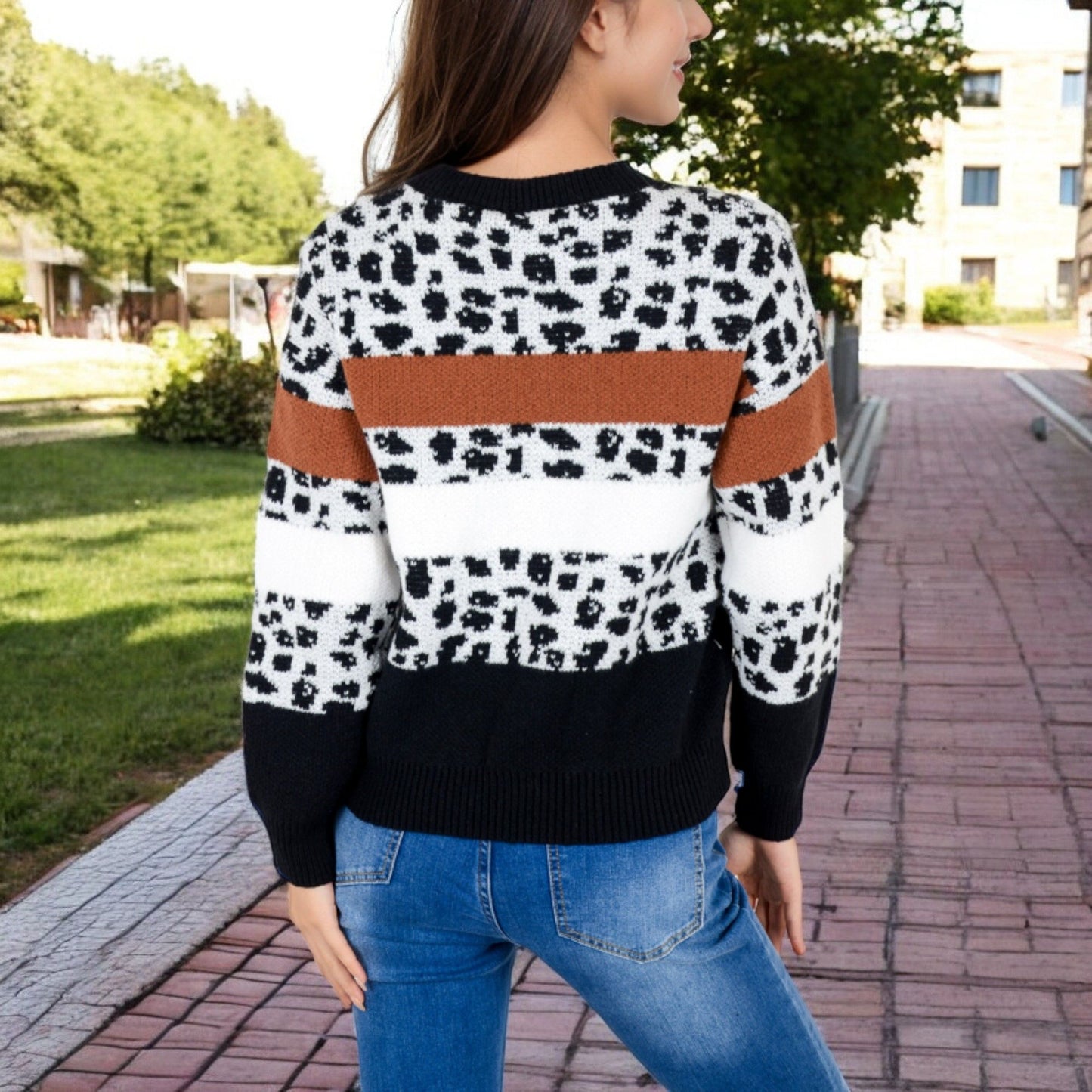 Animal Print Color Block Sweater with Long Sleeves