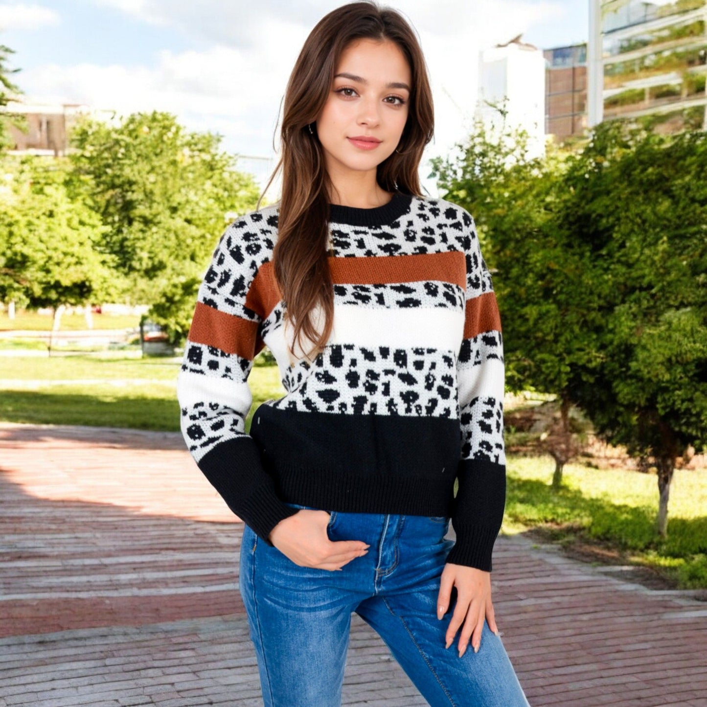 Animal Print Color Block Sweater with Long Sleeves