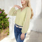 Sheer Sleeve V-Neck Blouse with Delicate Dot Embroidery