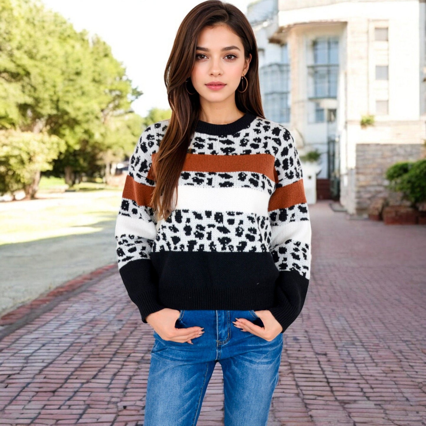 Animal Print Color Block Sweater with Long Sleeves