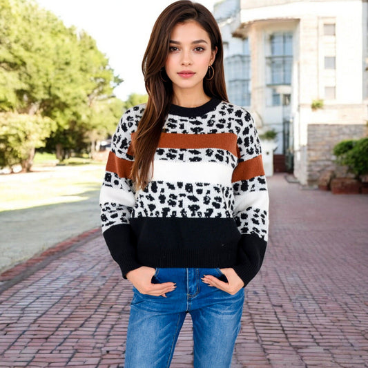 Animal Print Color Block Sweater with Long Sleeves