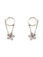 Small Crystal Flower Dangle Earrings