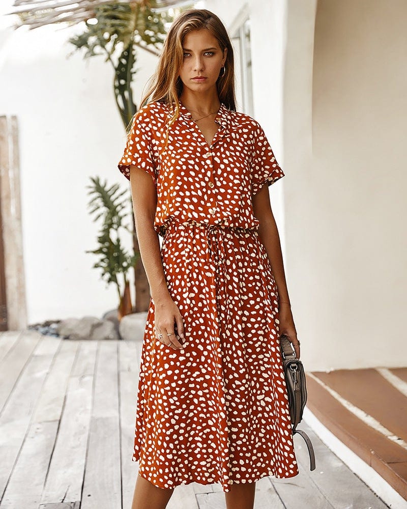 Button Down Collar Dress