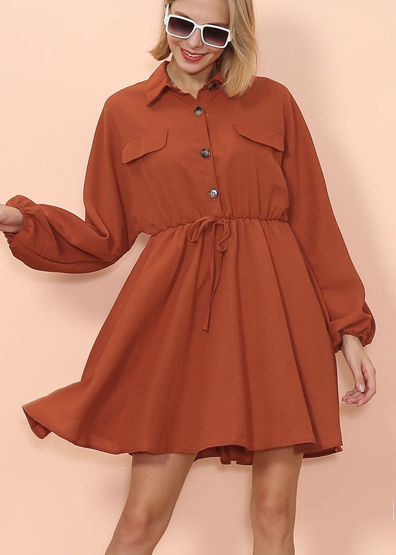 Button Collared Lantern Sleeve Ruffle Dress