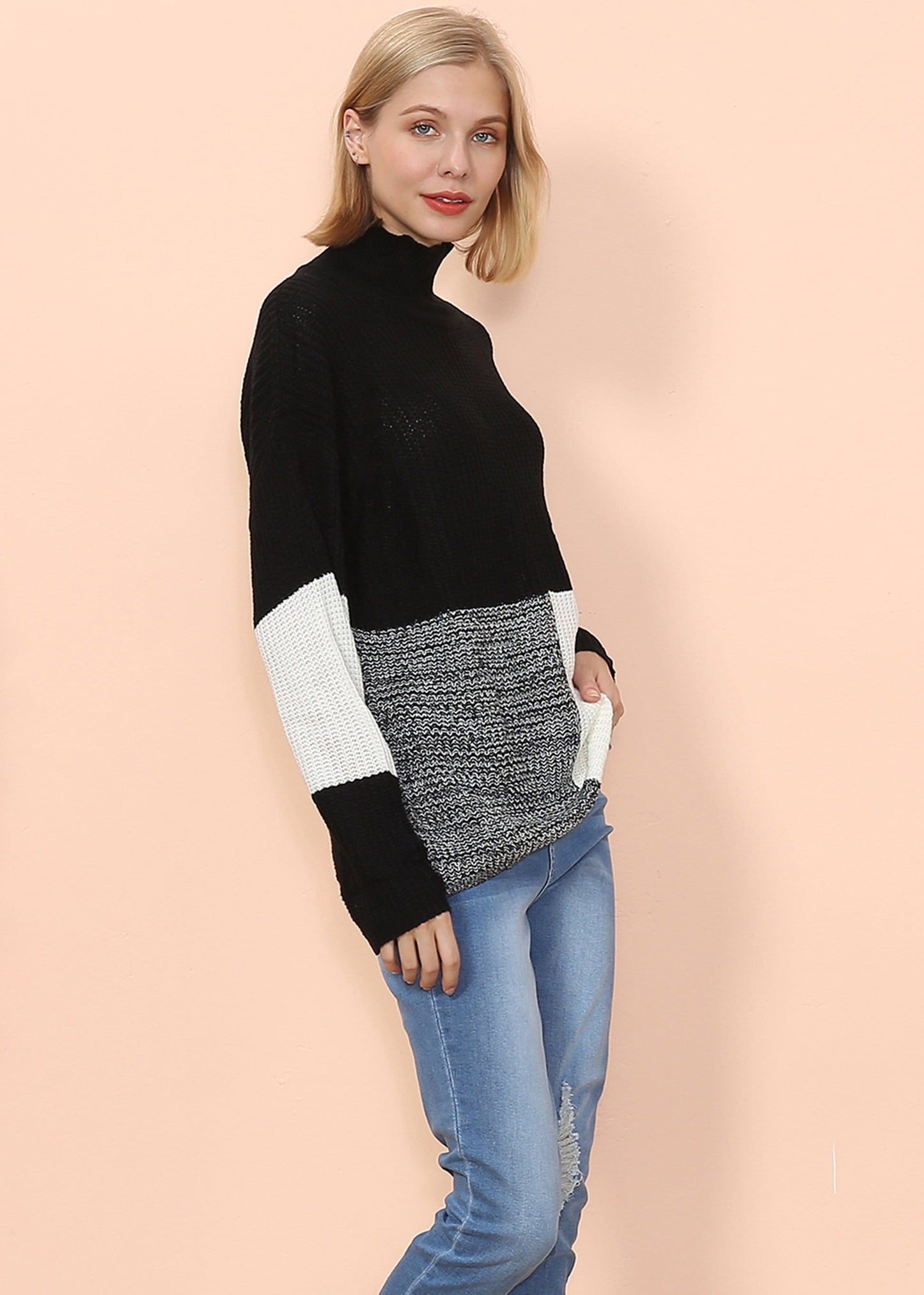 Turtleneck Color Block Knit Sweater