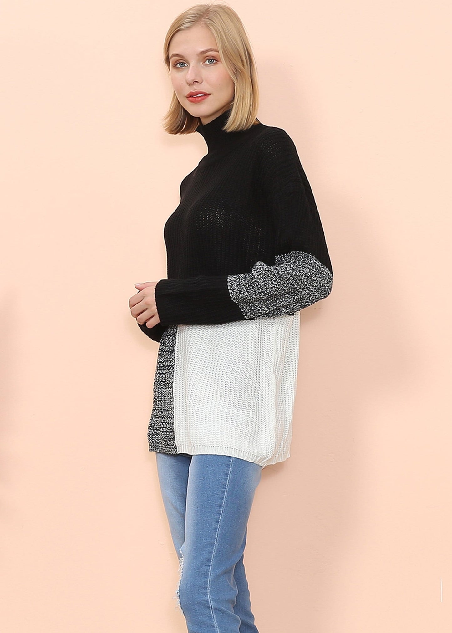 Turtleneck Color Block Knit Sweater