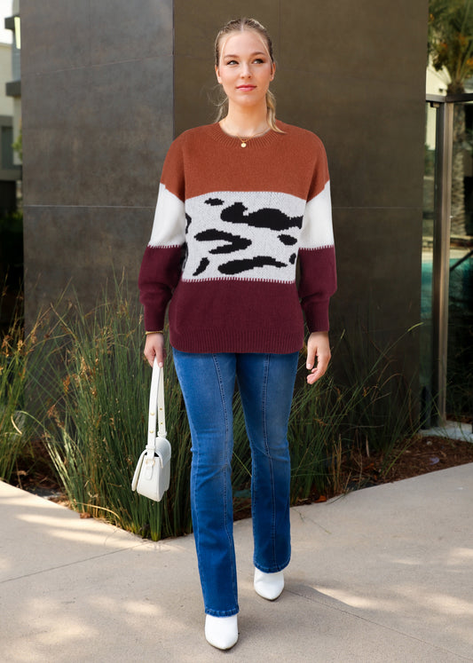 Color Block Animal Print Sweater