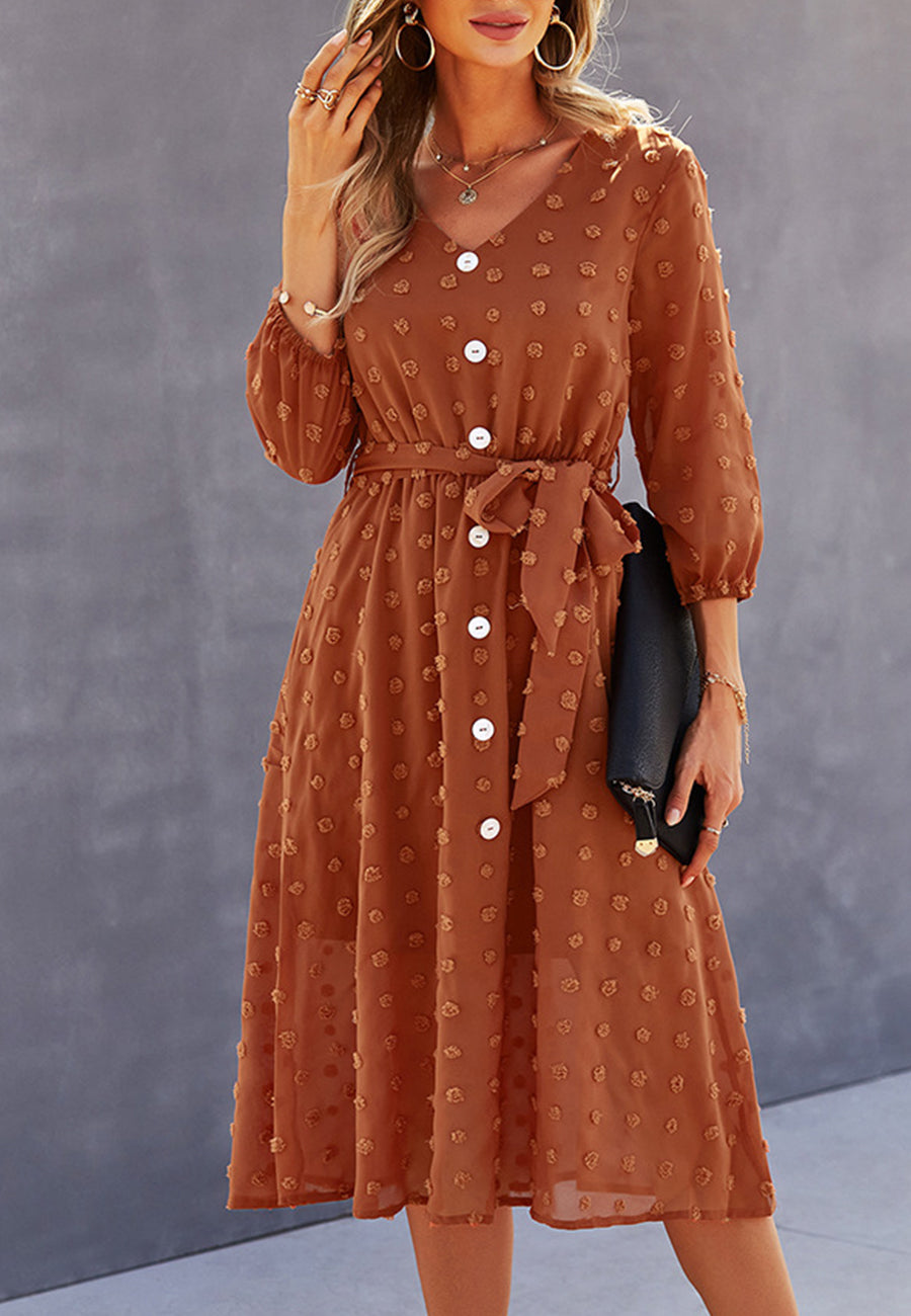 Swiss Dot Contrast Button Dress