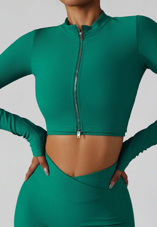 Sculpting Cropped Zip High Collar Jacket