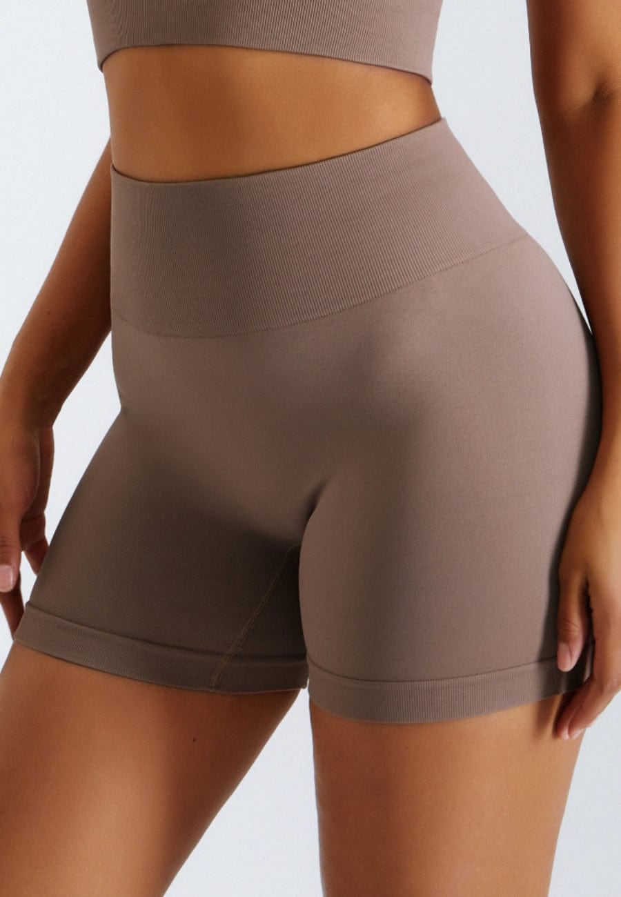 Biker High Rise Workout Shorts