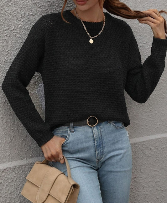 Solid Textured Knit Fall Sweater