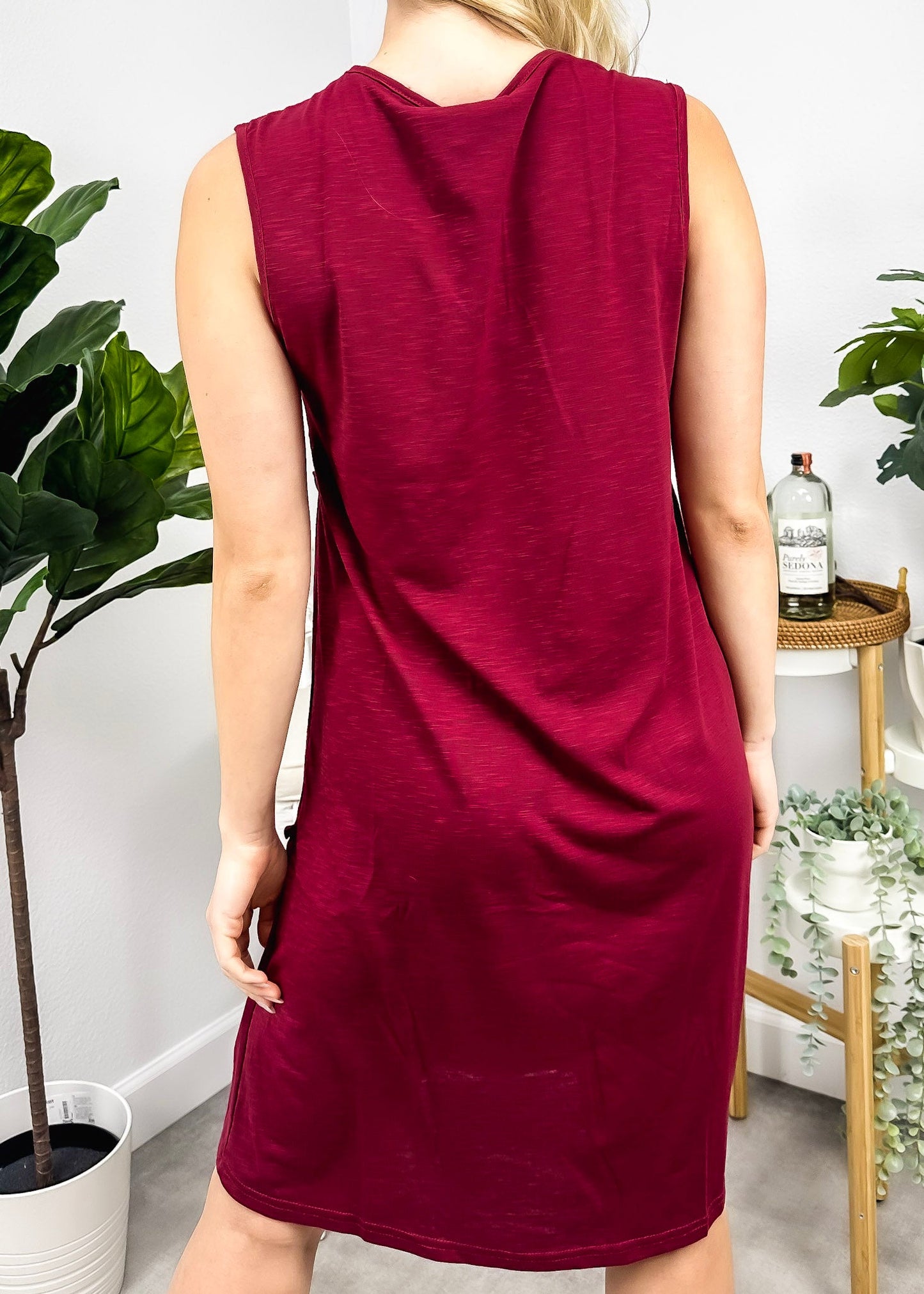 Solid Color Side Pleat Dress