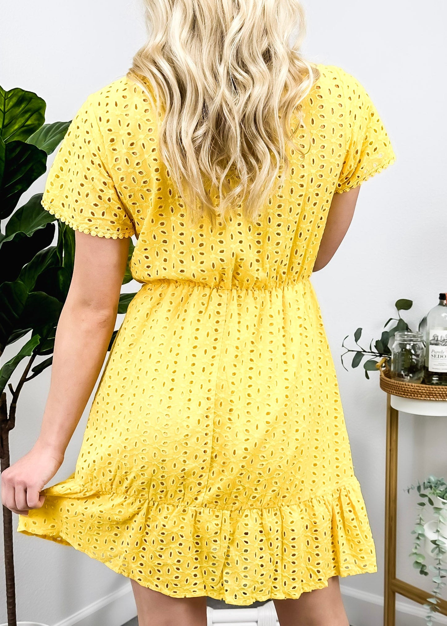 Solid Color Eyelet Dress