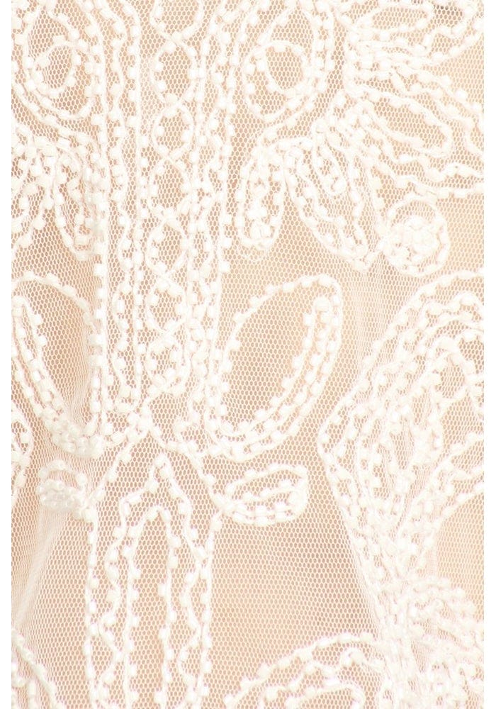 Sheer Embroidered Lace Top