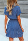 Anna-Kaci Womens Casual Dress Short Sleeves Button Up Polka Dot Printed Tie Waist Mini Dresses